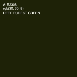 #1E2308 - Deep Forest Green Color Image